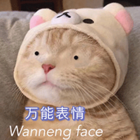 万能表情Wanneng face